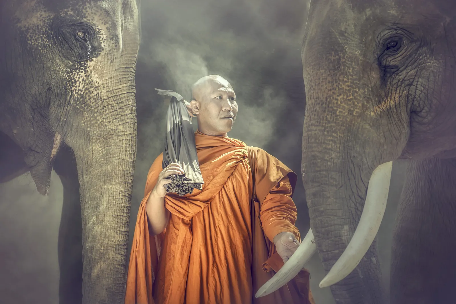 Buddhist,Monks,Are,Standing,Pat,Ivory,And,Compassionate